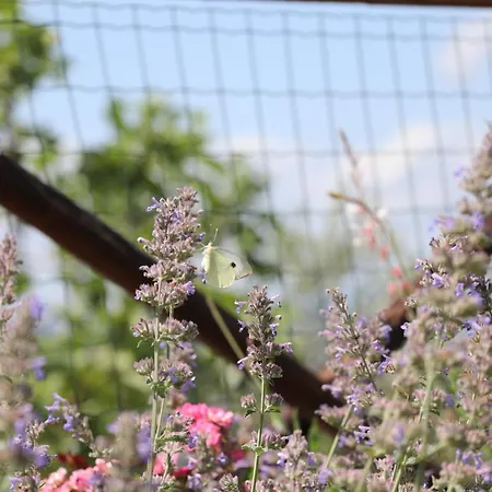 La Corte Dei Banchetti Gualdo Cattaneo