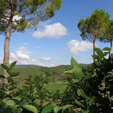 La Corte Dei Banchetti Alloggio per agriturismo Gualdo Cattaneo