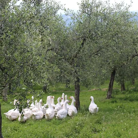La Corte Dei Banchetti Gualdo Cattaneo