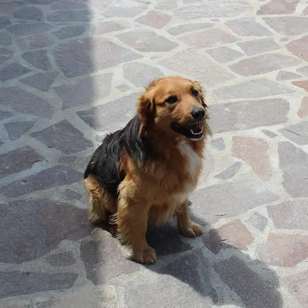 La Corte Dei Banchetti Gualdo Cattaneo