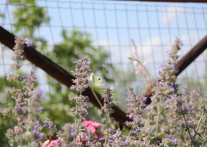 La Corte Dei Banchetti Gualdo Cattaneo
