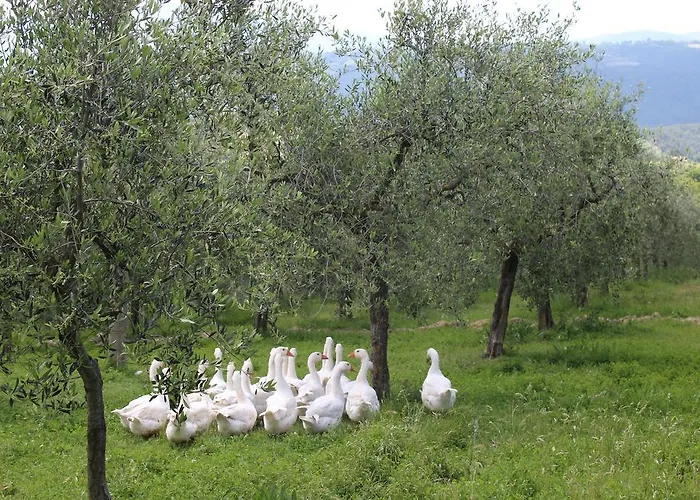 La Corte Dei Banchetti Gualdo Cattaneo