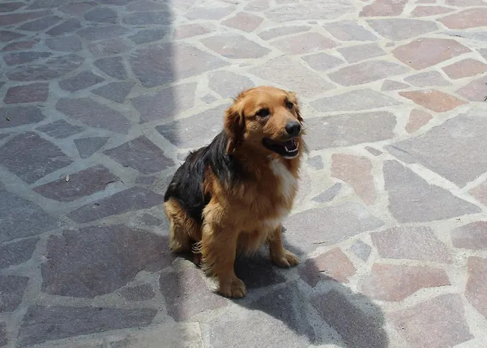 La Corte Dei Banchetti Gualdo Cattaneo